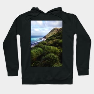 Coastal View, Maquarie Island Hoodie